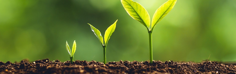 EPCC Sustainability